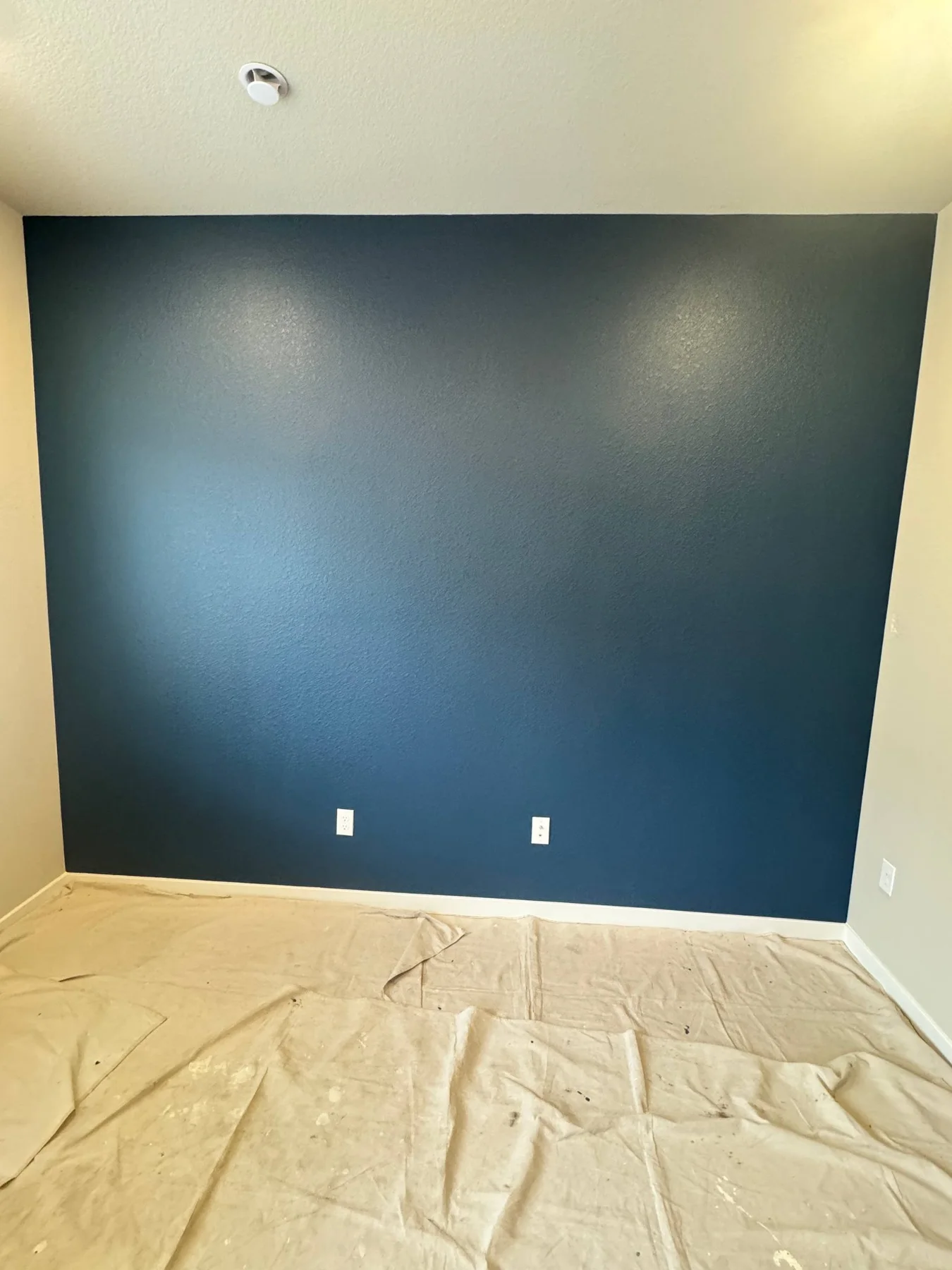 Deep blue painted accent wall with light adjoining walls