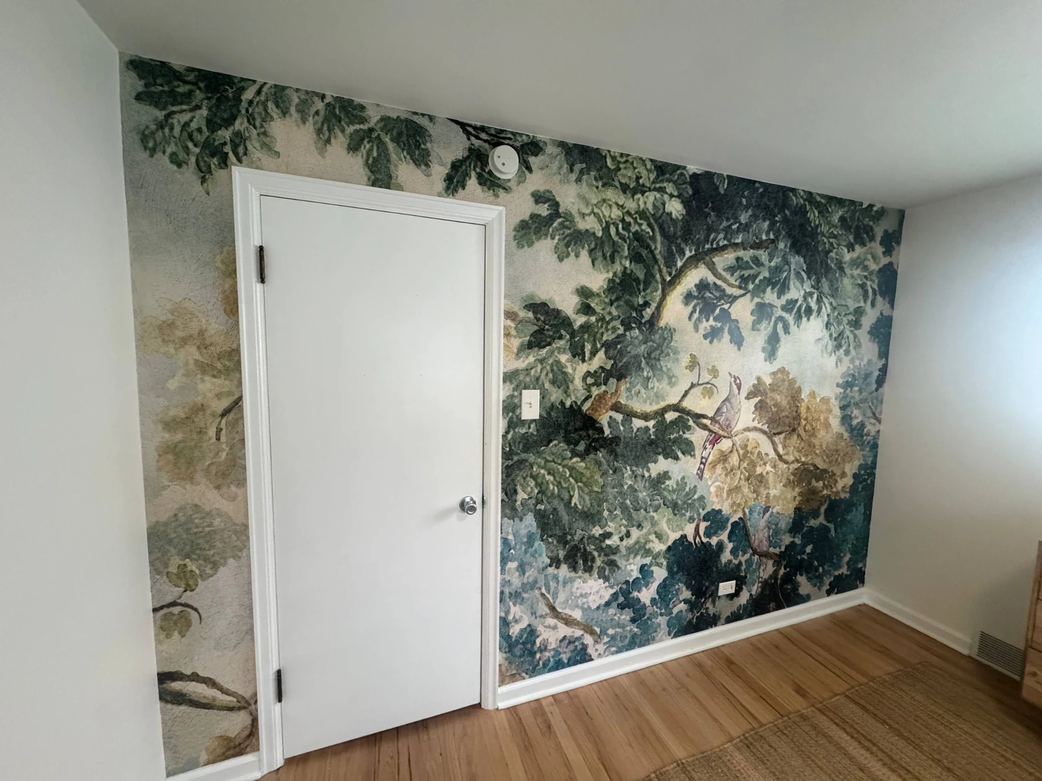 Botanical wallpaper mural with birds and leafy branches fitted around a white doorway